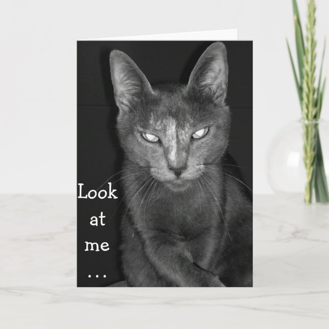 Gato asqueroso - Tarjeta de cumpleaños (Anverso)