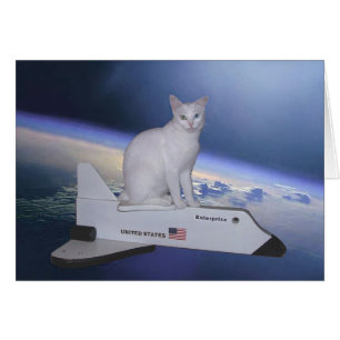 Gato astronauta (espíritu) en lanzadera espacial