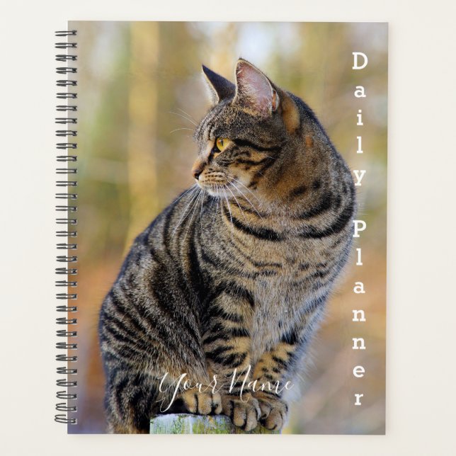 Gato atigrado gris - Planificador diario- HAMbWG (Anverso)