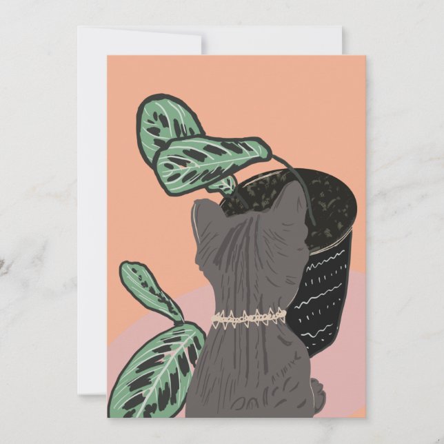 Gato Atigrado Gris Plantas Gracias  (Anverso)