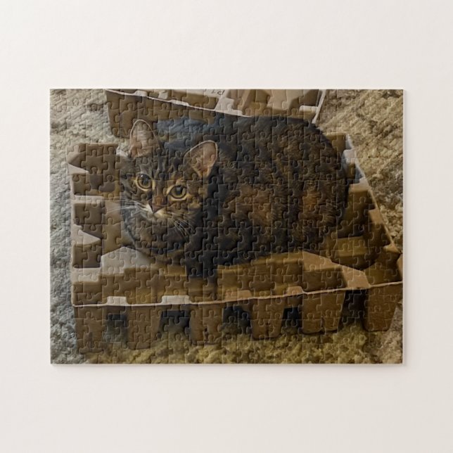 Gato atigrado lindo en rompecabezas de caja insert (Horizontal)