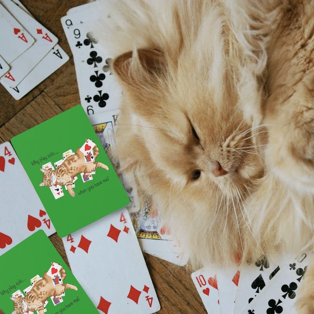 Gato atigrado naranja divertido jugando cartas de  (Subido por el creador)