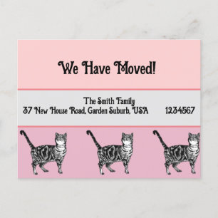 Gato Atigrado Rosa Tarjeta Postal De Nueva Direcci