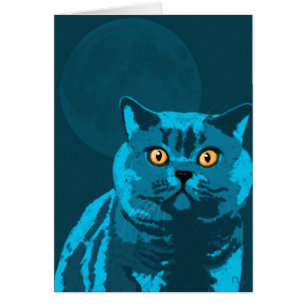 Gato azul