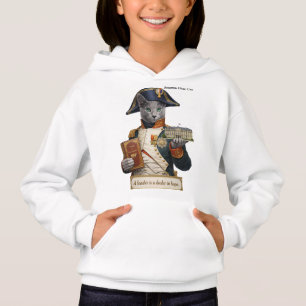 Gato Azul Ruso Napoleón Bonaparte