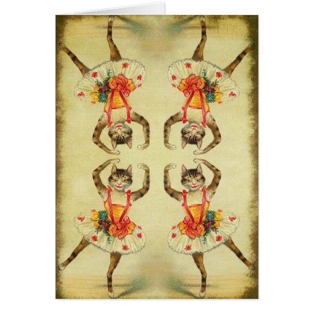 Gato bailarín (Frente)