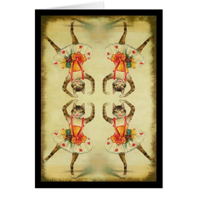 Gato bailarín (Frente)