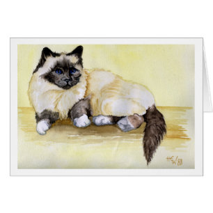Gato birmano del punto del sello