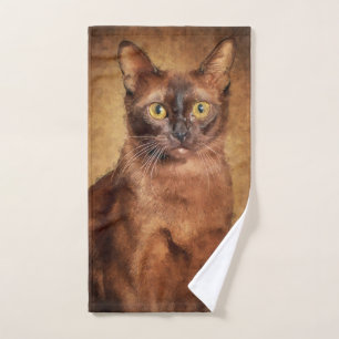 Gato birmano marrón