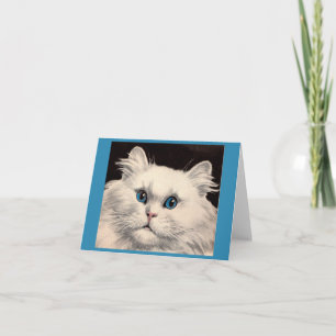 gato blanco con ojos azules