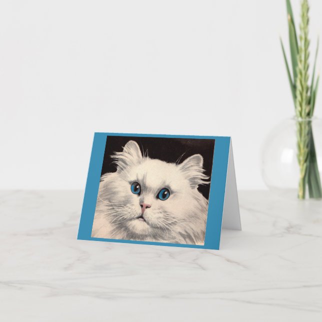 gato blanco con ojos azules (Anverso)