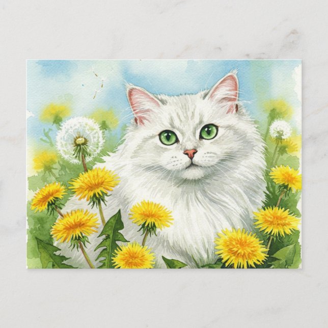 Gato blanco con postal de Dandelions (Anverso)