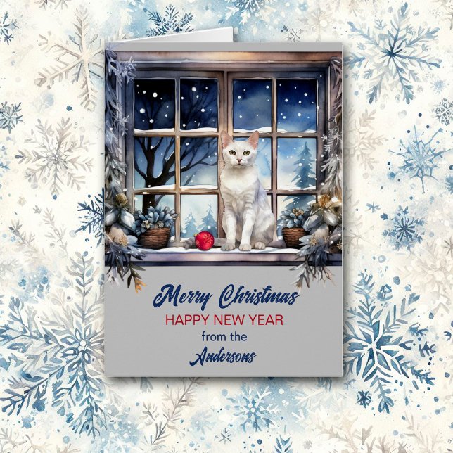 Gato blanco en Navidades de la ventana de vacacion (Subido por el creador)