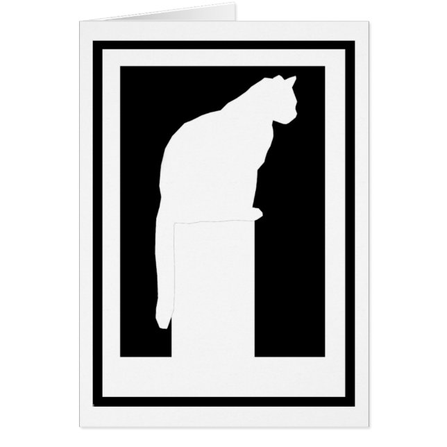 Gato blanco enmarcado de la silueta (Frente)
