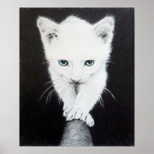 Gato blanco lindo Arte de dibujo de animales Amant