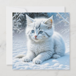 Gato blanco lindo jugando en la nieve
