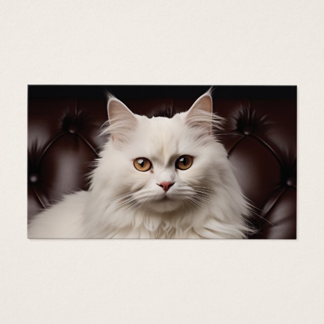Gato blanco majestuoso (Frente)