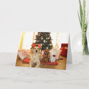 Gato blanco navidad con perros   Árbol de Navidad