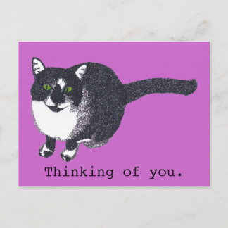 Gato blanco negro lindo en postales de puntillismo