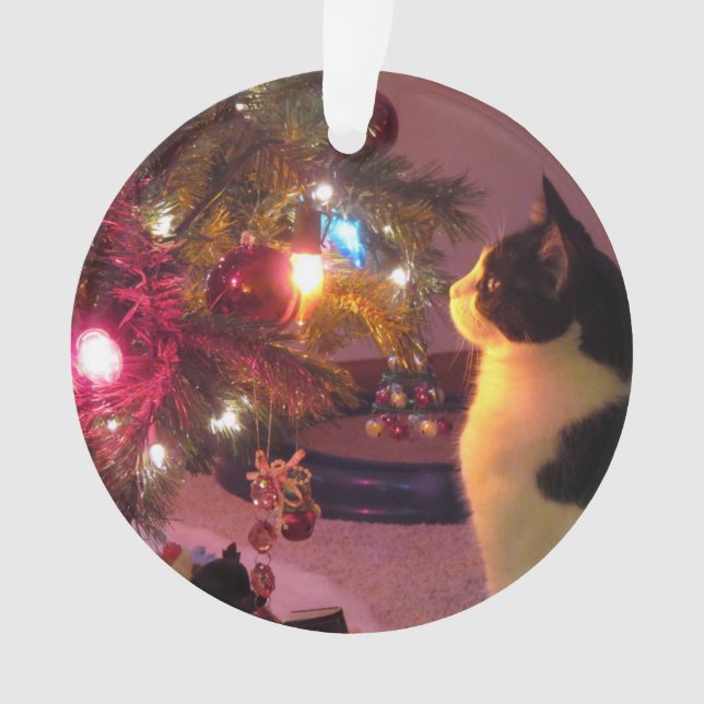 Gato blanco y negro con el ornamento del árbol de (Anverso)