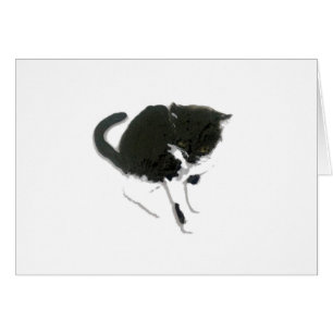 Gato blanco y negro de pintura Kitty