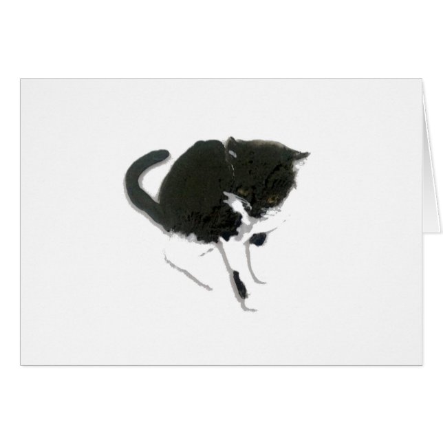 Gato blanco y negro de pintura Kitty (Anverso (Horizontal))
