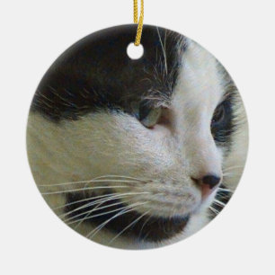 Gato blanco y negro en adorno cerámico