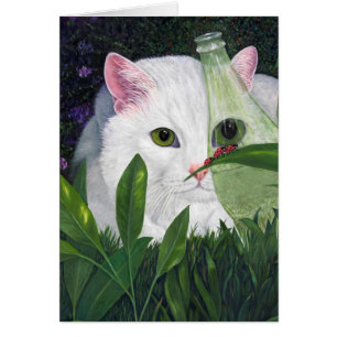 Gato, botella de coca y licuadora