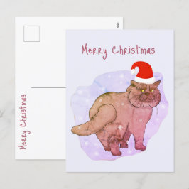 Gato británico. Santa Gata. Postal de Navidad