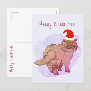 Gato británico. Santa Gata. Postal de Navidad