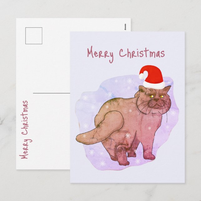 Gato británico. Santa Gata. Postal de Navidad (Anverso / Reverso)