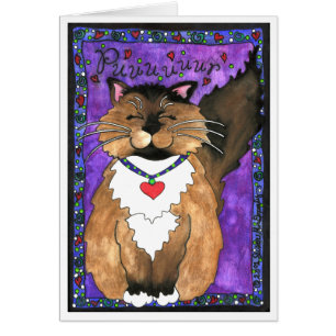 Gato chiquito siamés Ragdoll Kitty