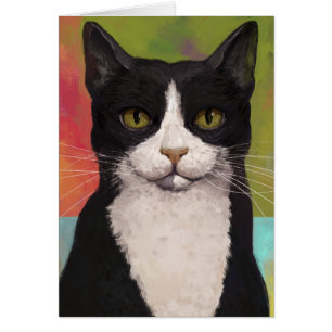 Gato colorido de Tuxedo
