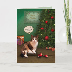 Gato con adorno de Navidad roto