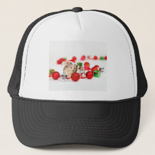 Gato con adorno de Navidad sombrero rojo de Santa