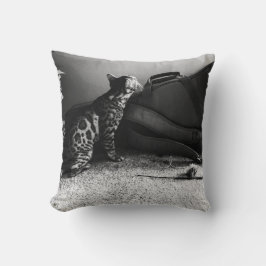 Gato con almohada de guitarra