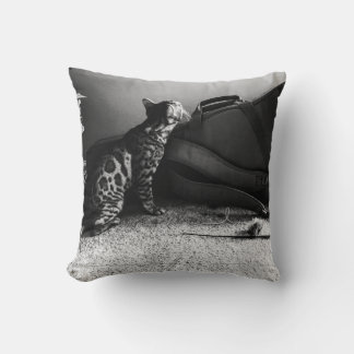 Gato con almohada de guitarra