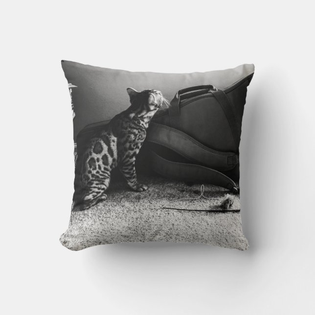 Gato con almohada de guitarra (Anverso)