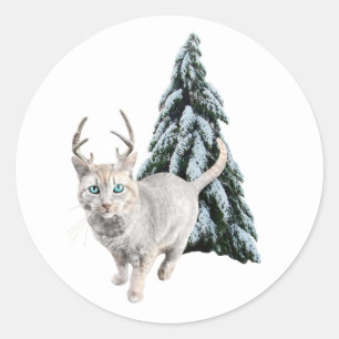 Gato con anclas y Pegatinas de árbol