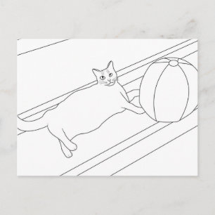 Gato con bolas de playa, postales de color