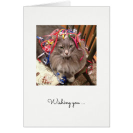 Gato con cinta de opciones en la tarjeta de cumple