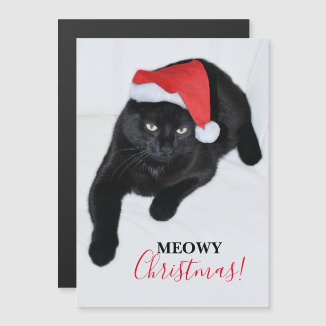 Gato con el sombrero rojo de Santa (Anverso/Reverso)