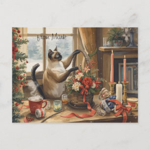 Gato con Flores  Colección de Invierno Navidad
