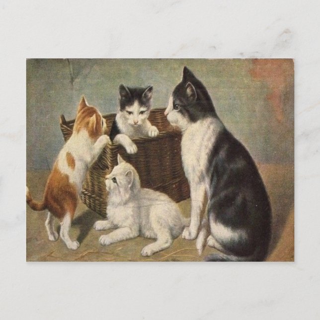 Gato con gatitos en la postal de la vendimia de ca (Anverso)