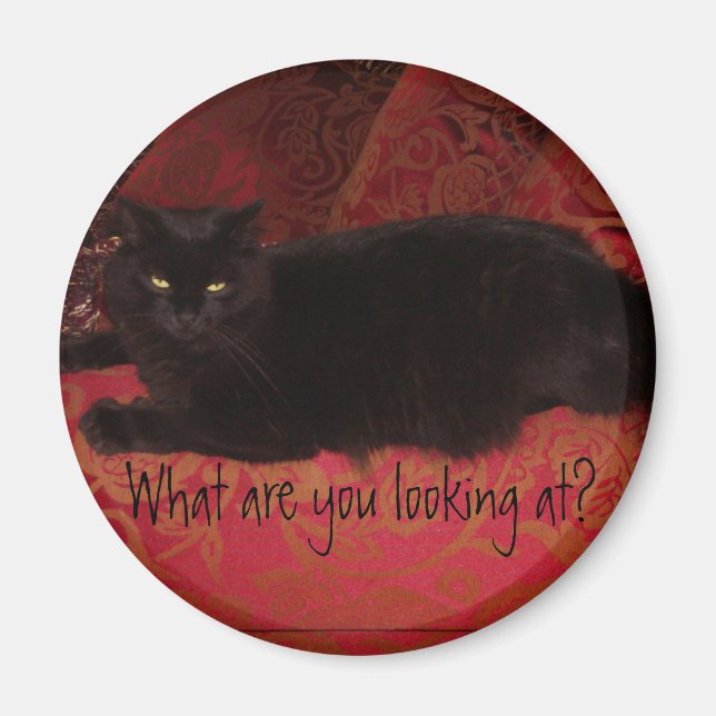 Gato con imán de actitud (Frente)