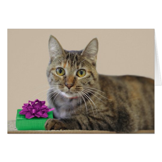 Gato con la tarjeta de cumpleaños del regalo