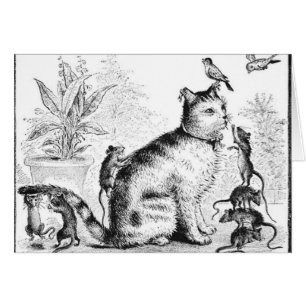 Gato con los pájaros y las ratas