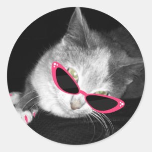 Gato con Pegatina de gafas de sol rosadas
