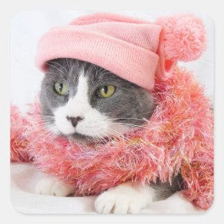Gato con Pegatinas de plaza Gorra rosado, brillant