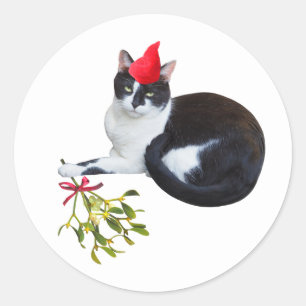 Gato con Pegatinas Mistletoe